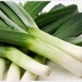 Praziluk kada treba sijati rasad